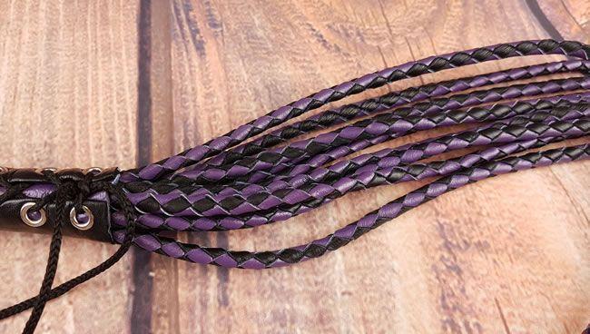 Image showing the fronds of the cat o nine tails