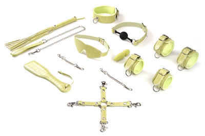 Image showing the contents of the kit