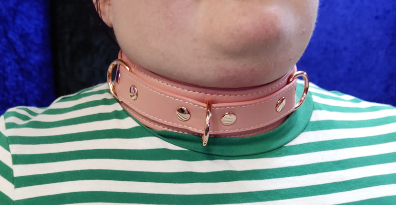 Image showing the collar around sub'r's neck