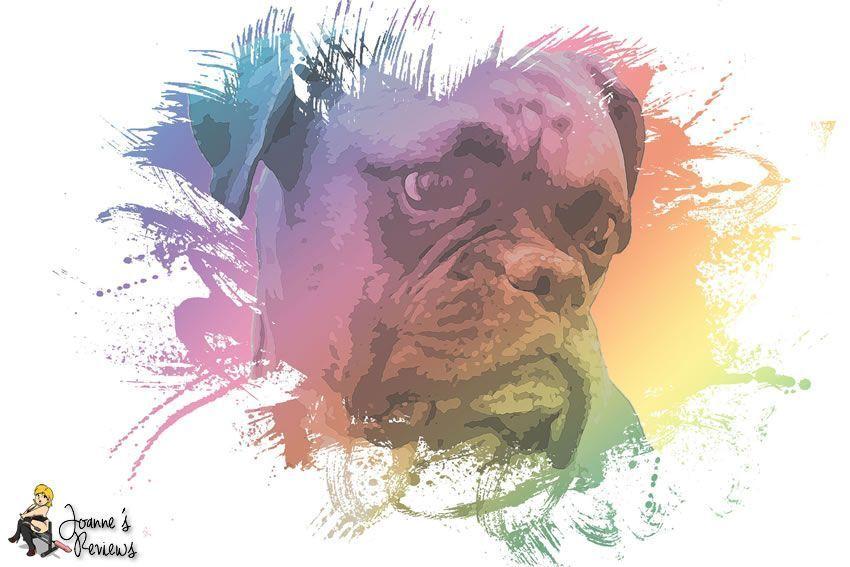 Digital art - The Bulldog