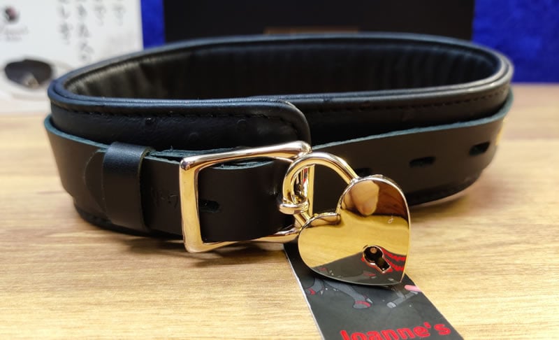 Image showing the padlock fitted to the collar