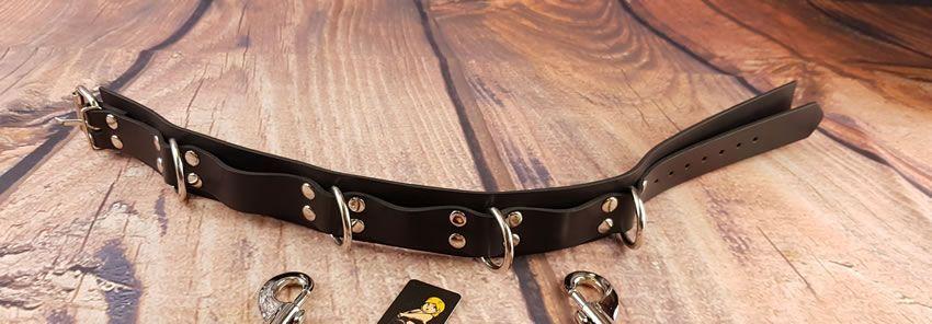 Image showing the Honour HNRX Rubber Collar with 4 D Rings