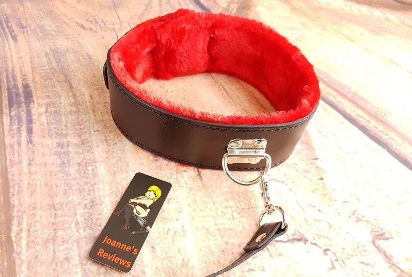 Image showing the luxurious leather collar and leash