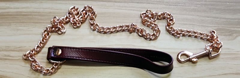 Image showing the rose gold leash