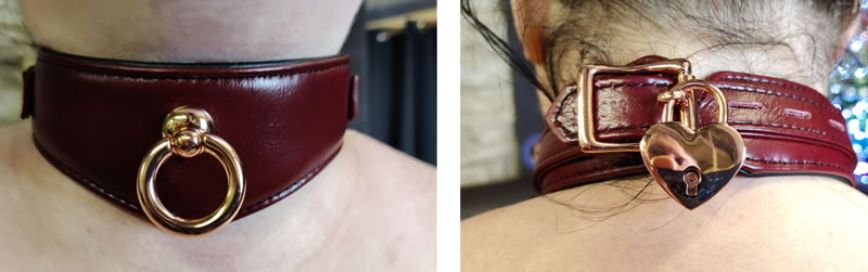 Image showing the collar on sub'r'