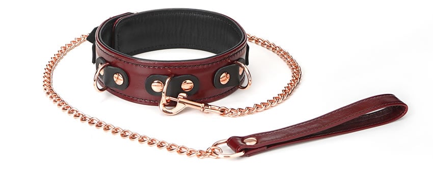Image showing the Collar & Leash out of the box