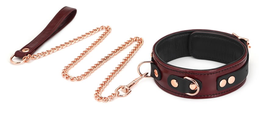 Image showing the Collar & Leash