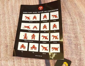 Image showing the pup play posture and position guide