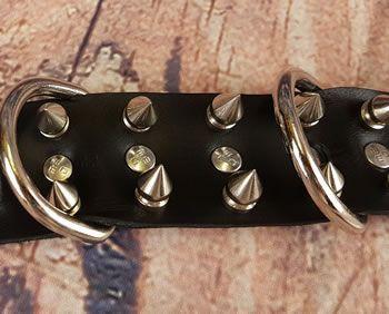 Image showing the spikes on the pup play collar