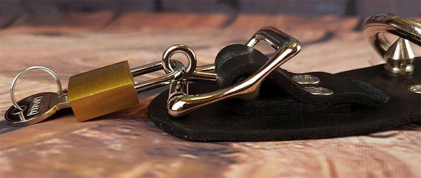 Image showing the locking buckle of this collar