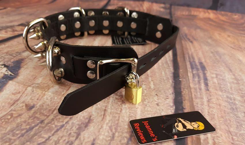 Image showing the metal D rings on the collar