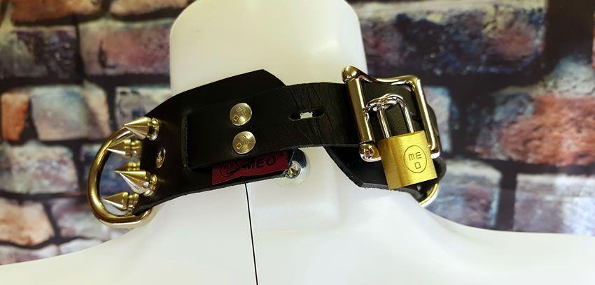 Image showing the collar in its locked state