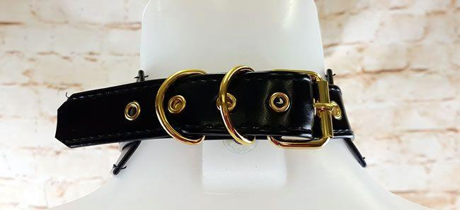 The gold buckle and 'D' rings look great from the rear