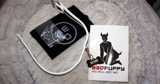 You get a storage pouch, a fantastic pup posture guide and a spare ring with your collar