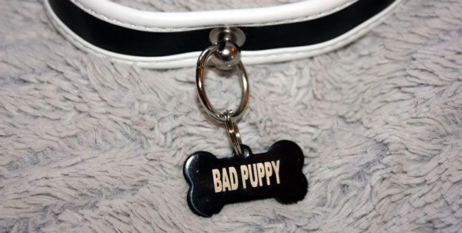 The BAD PUPPY dog tag steals the limelight and look fantastic