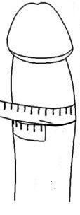The Circumference is easy to measure