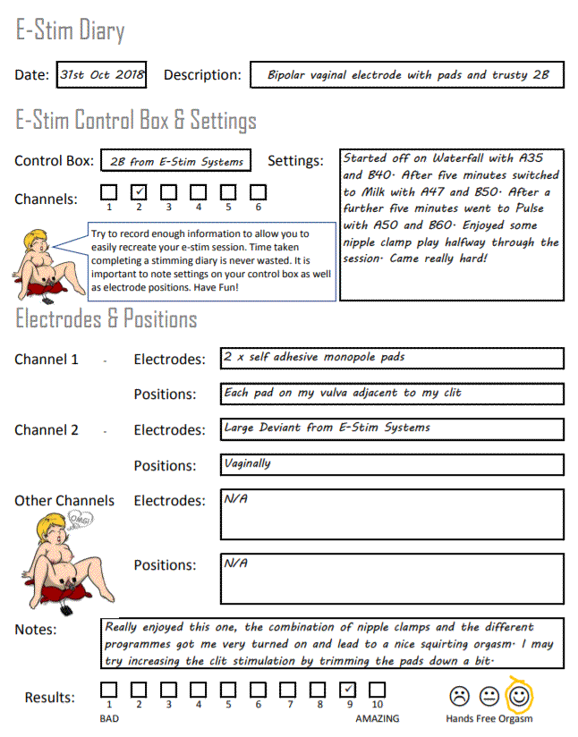Image showing an example e-stim session diary page filled in