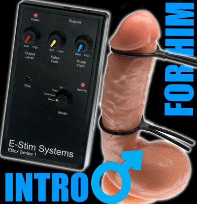Intro2Her e-stim kit with coductive cock loops and pads