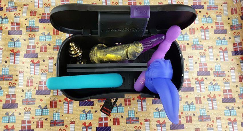 The Joyboxx allows you to store lots of sex toys