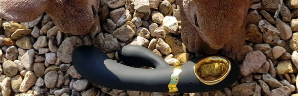 Vibrateurs de lapin, comment choisir un fantastique