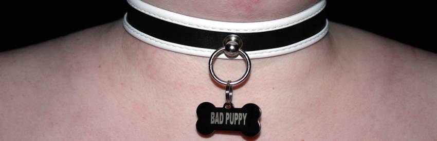 BDSM Puppy Slave Collar Review